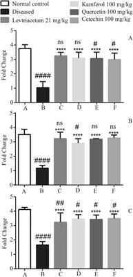 In Silico and In Vivo: Evaluating the Therapeutic Potential of Kaempferol, Quercetin, and Catechin to Treat Chronic Epilepsy in a Rat Model